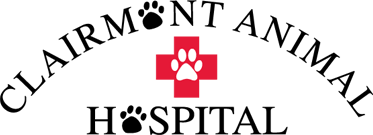 Clairmont Animal Hospital Home