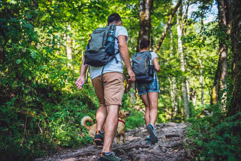 A couple hikes with their dog. Local hikes and walks with your dog are great pet exercise.