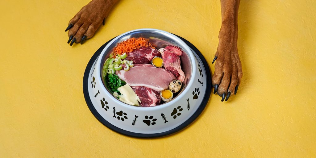 Bowl of natural, raw dog food on yellow background.