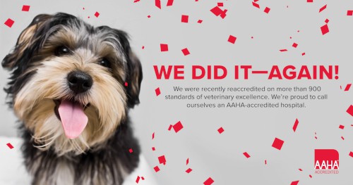 AAHA Reacreddited
