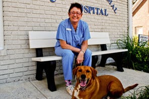 Clairmont Animal Hospital