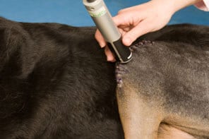 Laser therapy